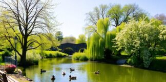 Hidden Gems in Crawley You Must Visit Hidden Gems in Crawley You Must Visit