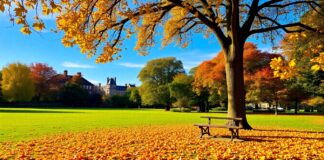 Seasonal Guide to Visiting Crawley Seasonal Guide to Visiting Crawley # Seasonal Guide to Visiting Crawley