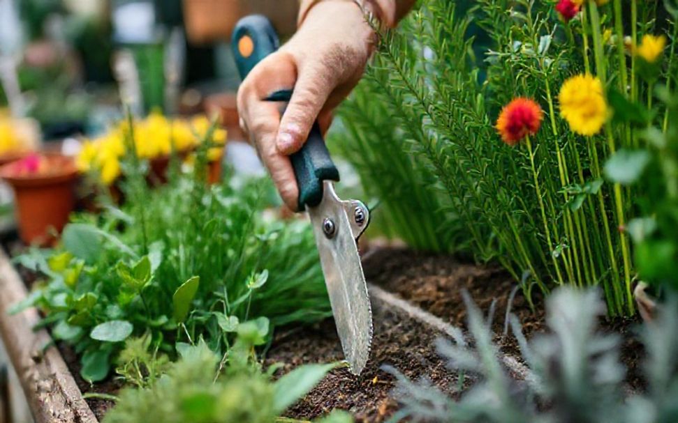 5 Essential Gardening Tools You Can’t Miss at Crawley Garden Centre*
