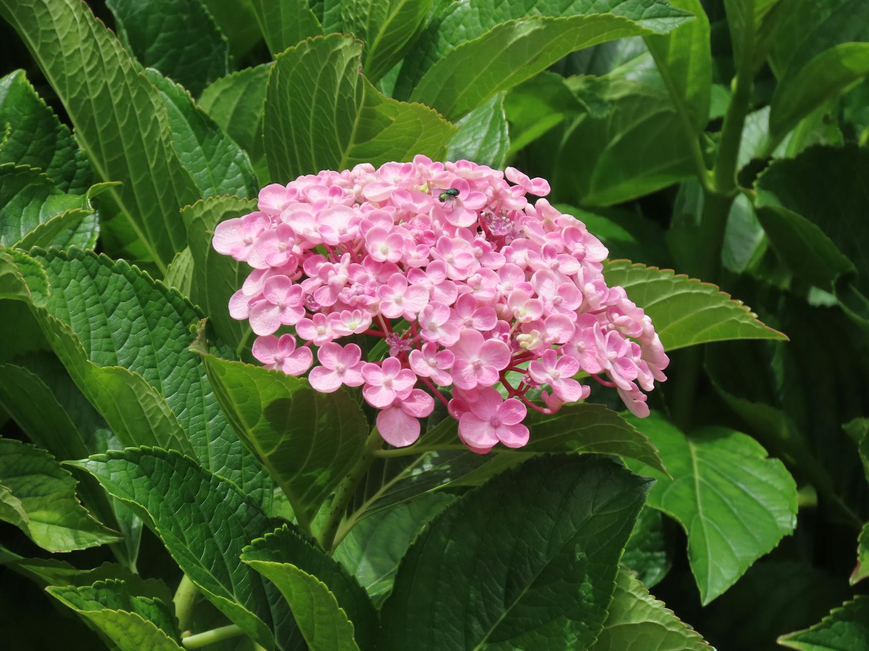 The Truth About Seasonal Gardening in Crawley*