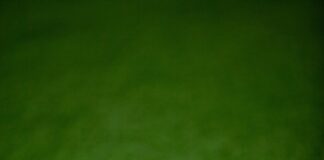 Discover Tilgate Golf Course: A Stunning Crawley Golfing Experience