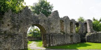 Discover Beautiful Plants & Gardening Essentials at Snow Hill Garden Centre, Crawley