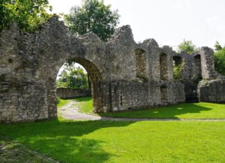 Discover Beautiful Plants & Gardening Essentials at Snow Hill Garden Centre, Crawley