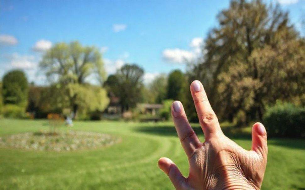 Why Langley Green is Crawley’s Best-Kept Secret for Families*