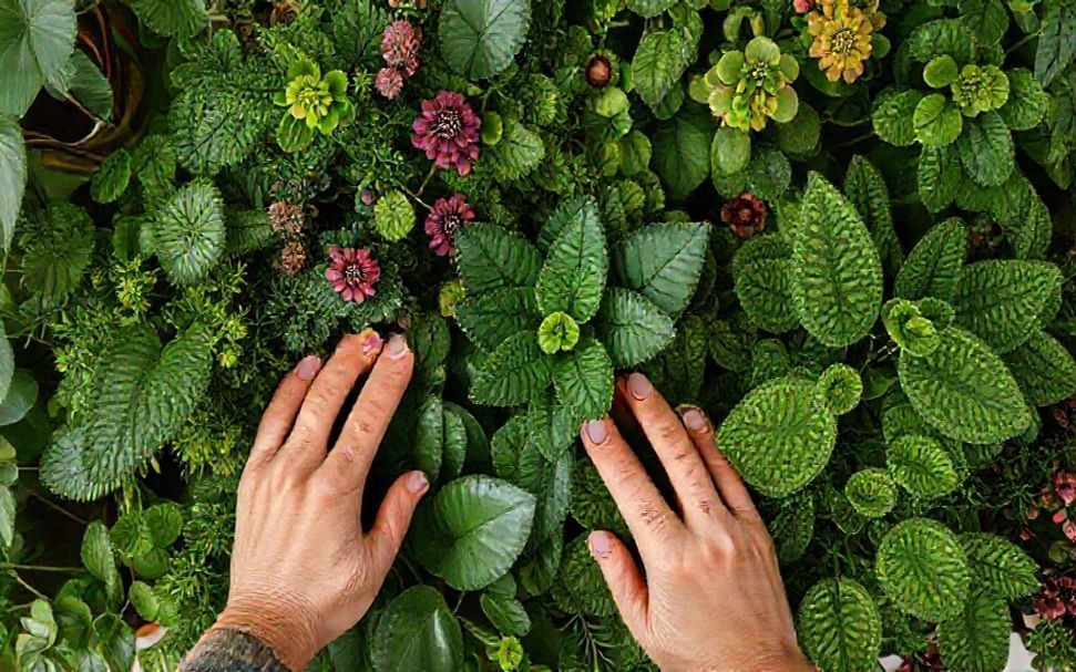 Why Seasonal Plants Are a Must for Year-Round Beauty*