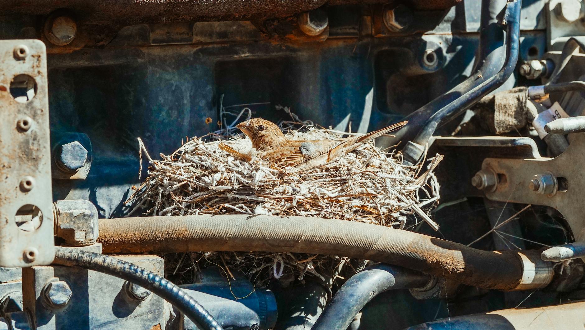 3 Unexpected Industries Hiring for Flexible Part-Time Roles in Crawley*