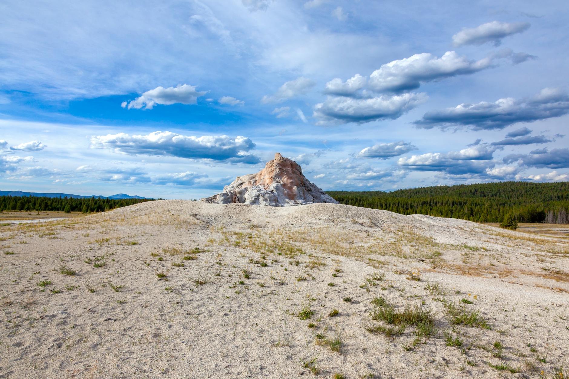 5 Adventurous Ways to Explore Tilgate Park’s Great Outdoors*