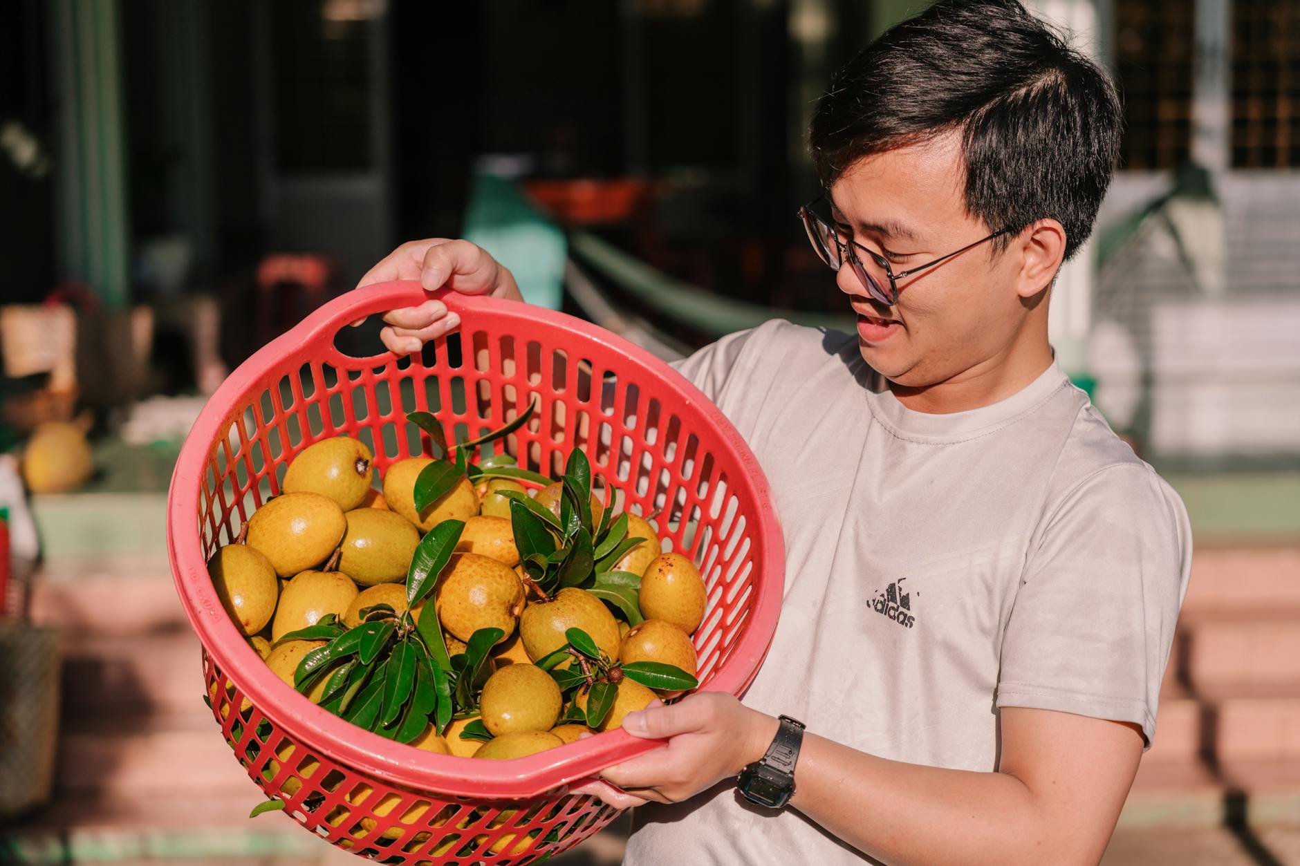 5 Ways to Keep Your Pet Happy and Healthy with Local Crawley Supplies*