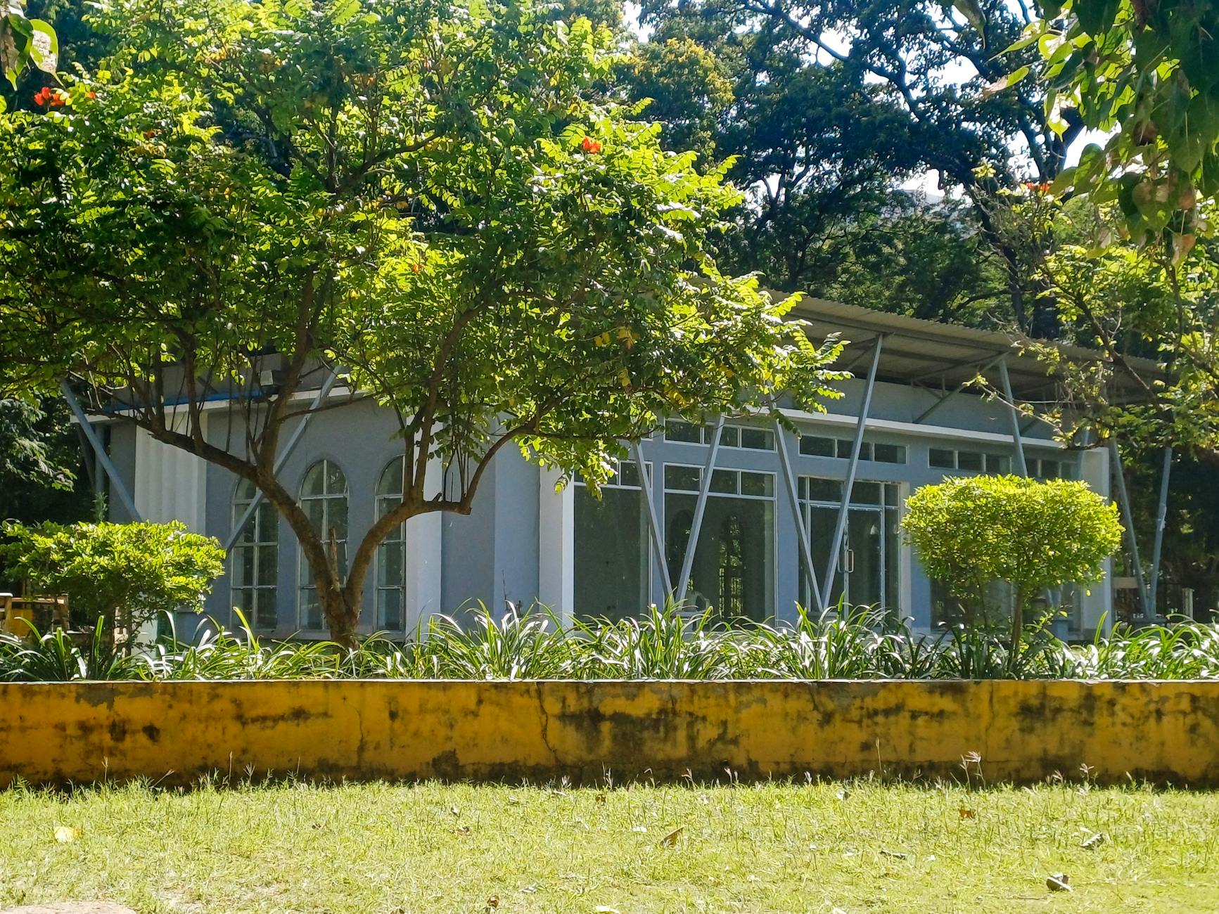 Discover the Hidden Gems of Tilgate Park: 7 Must-Visit Spots*