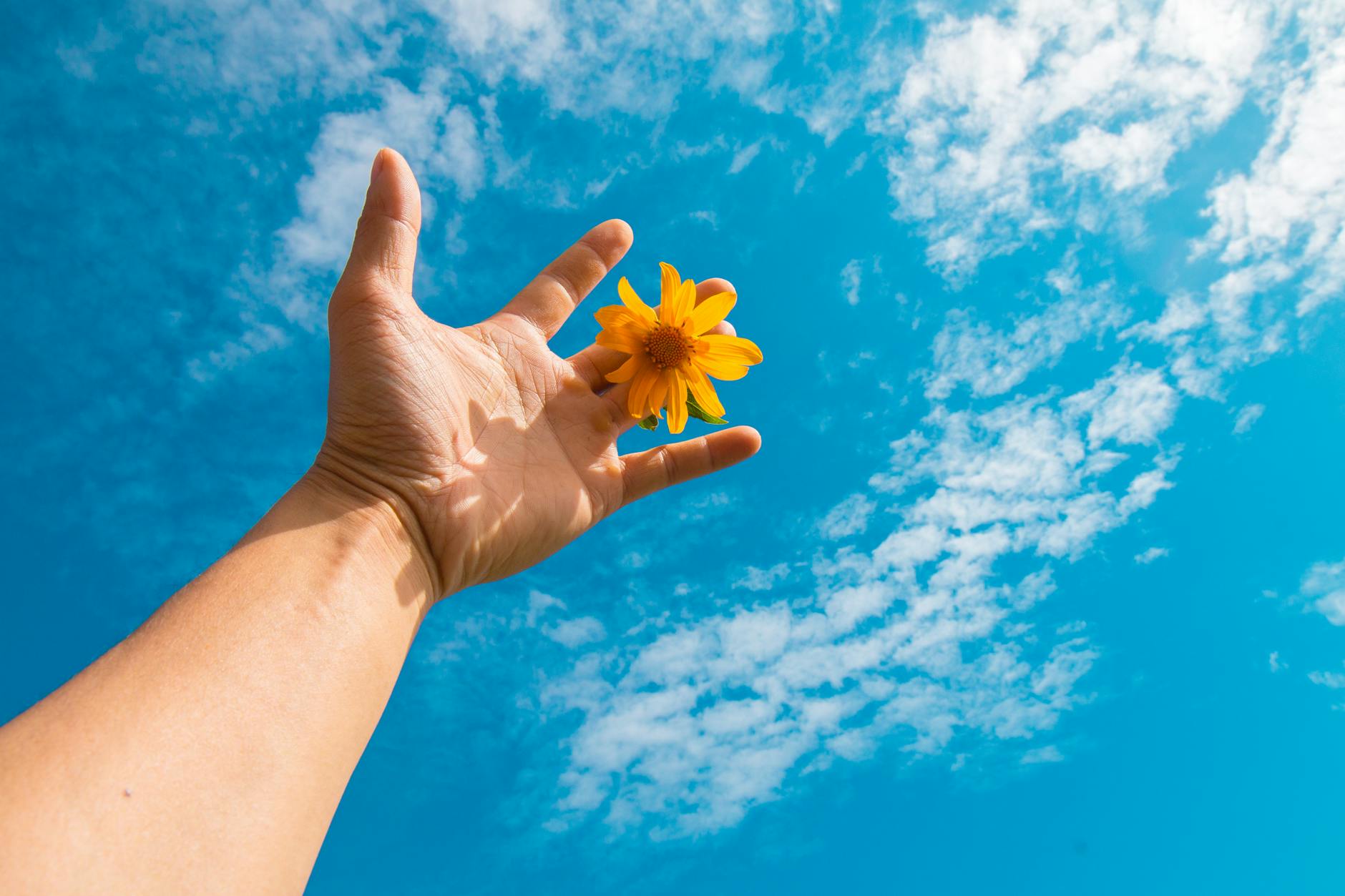 How to Check Crawley’s Weather Tomorrow for a Stress-Free Day*