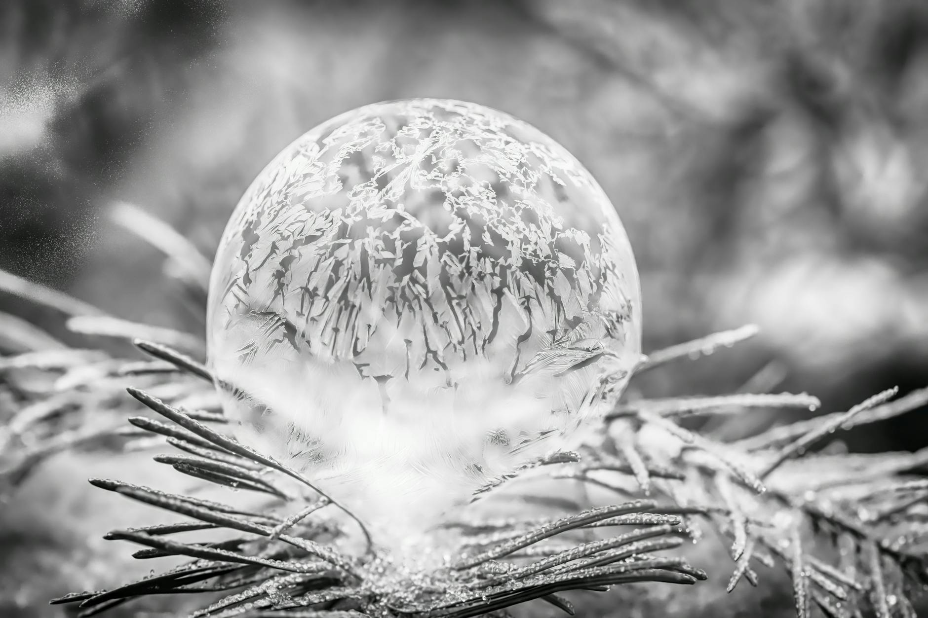 The Truth About Crawley’s Weather Patterns – What You Need to Know*