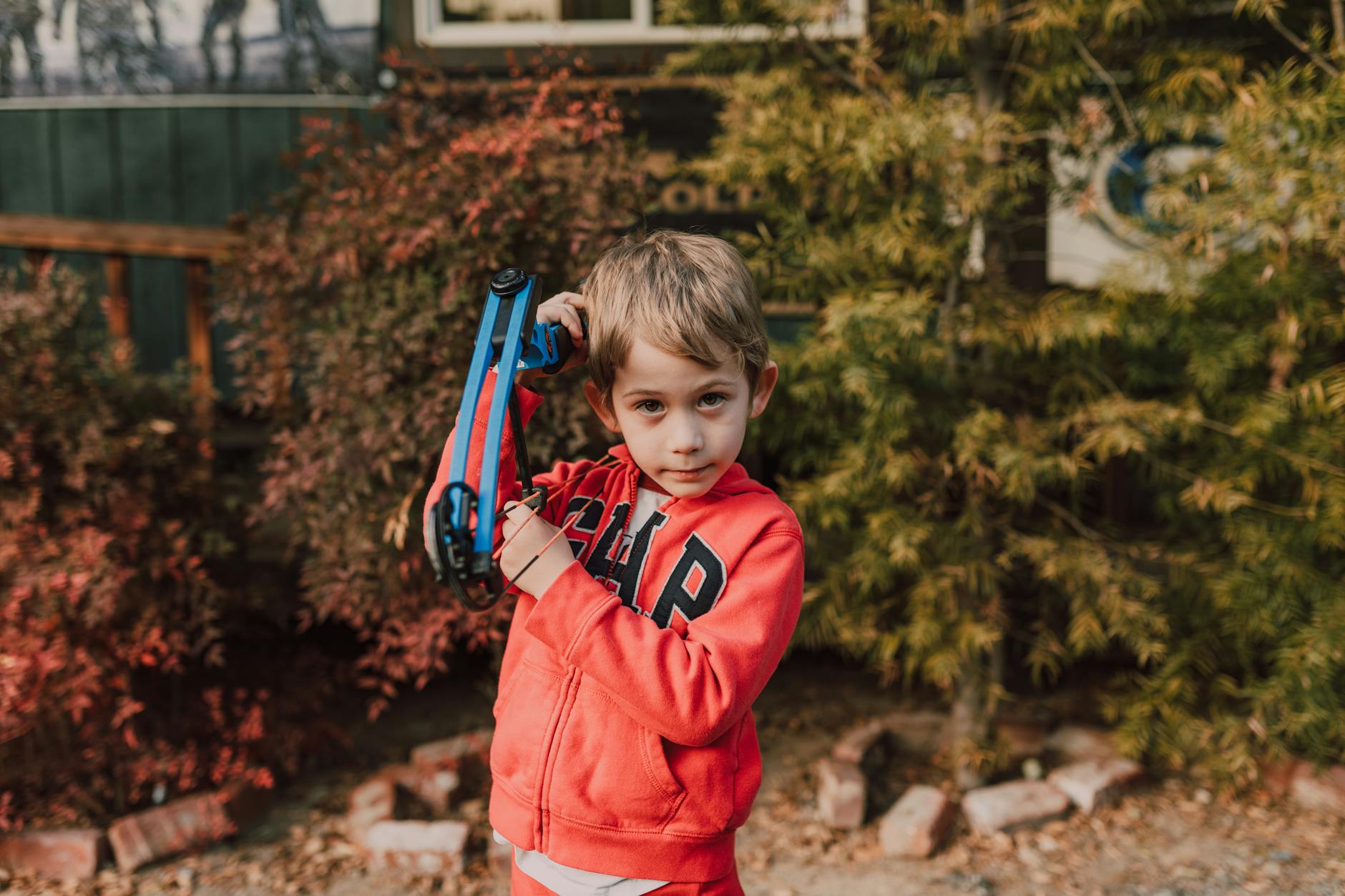 The Truth About Tilgate Park’s Wildlife: What You Need to Know*