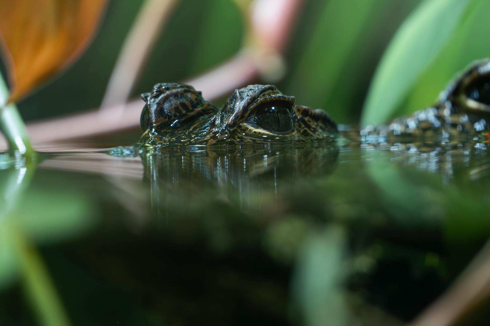 The Truth About Travelodge Crawley’s Hidden Perks for Guests*
