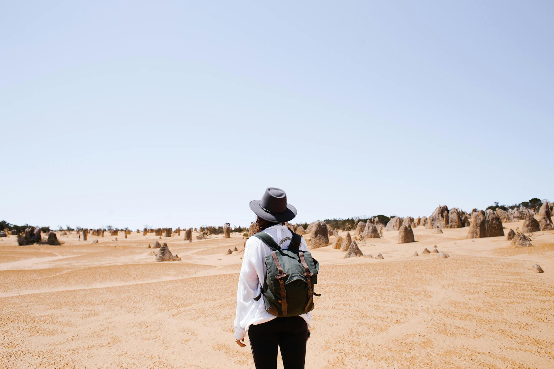 The Truth About the Best Time to Visit Woburn Safari Park*