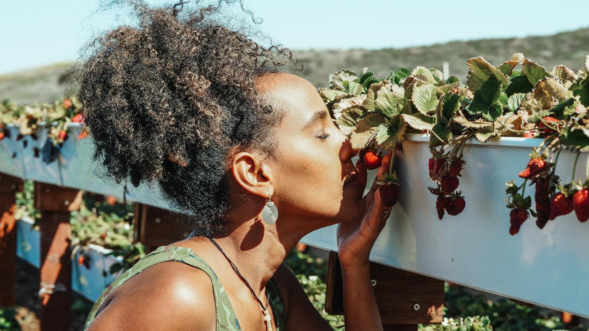 The Ultimate Guide to Storing and Enjoying Farm-Fresh Produce*