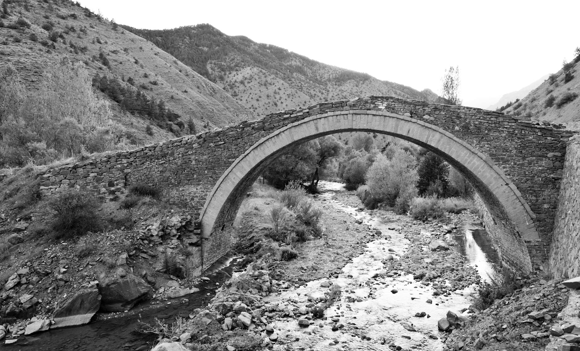 Why Buchan Country Park is Crawley’s Best-Kept Secret for Outdoor Adventures"*