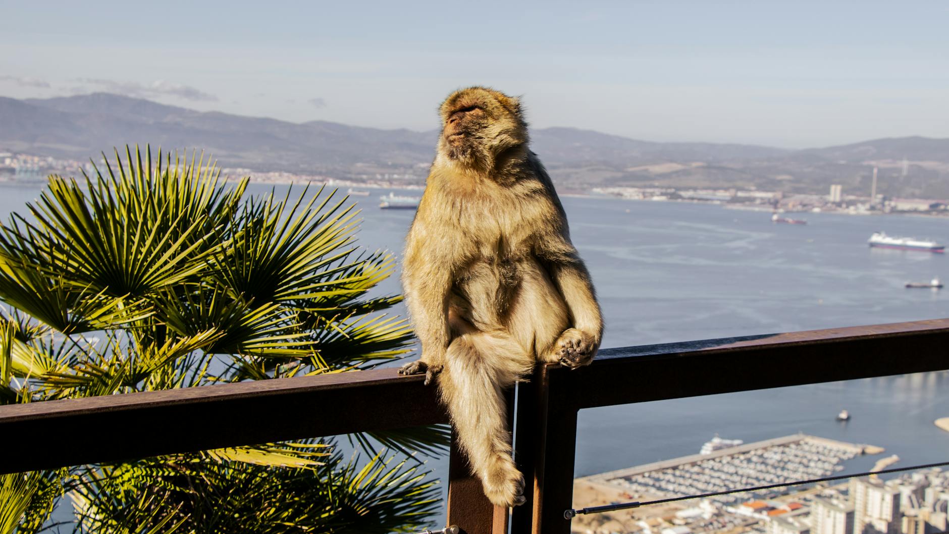 Why Edith Crawley’s Evolution is the Most Underrated Storyline*