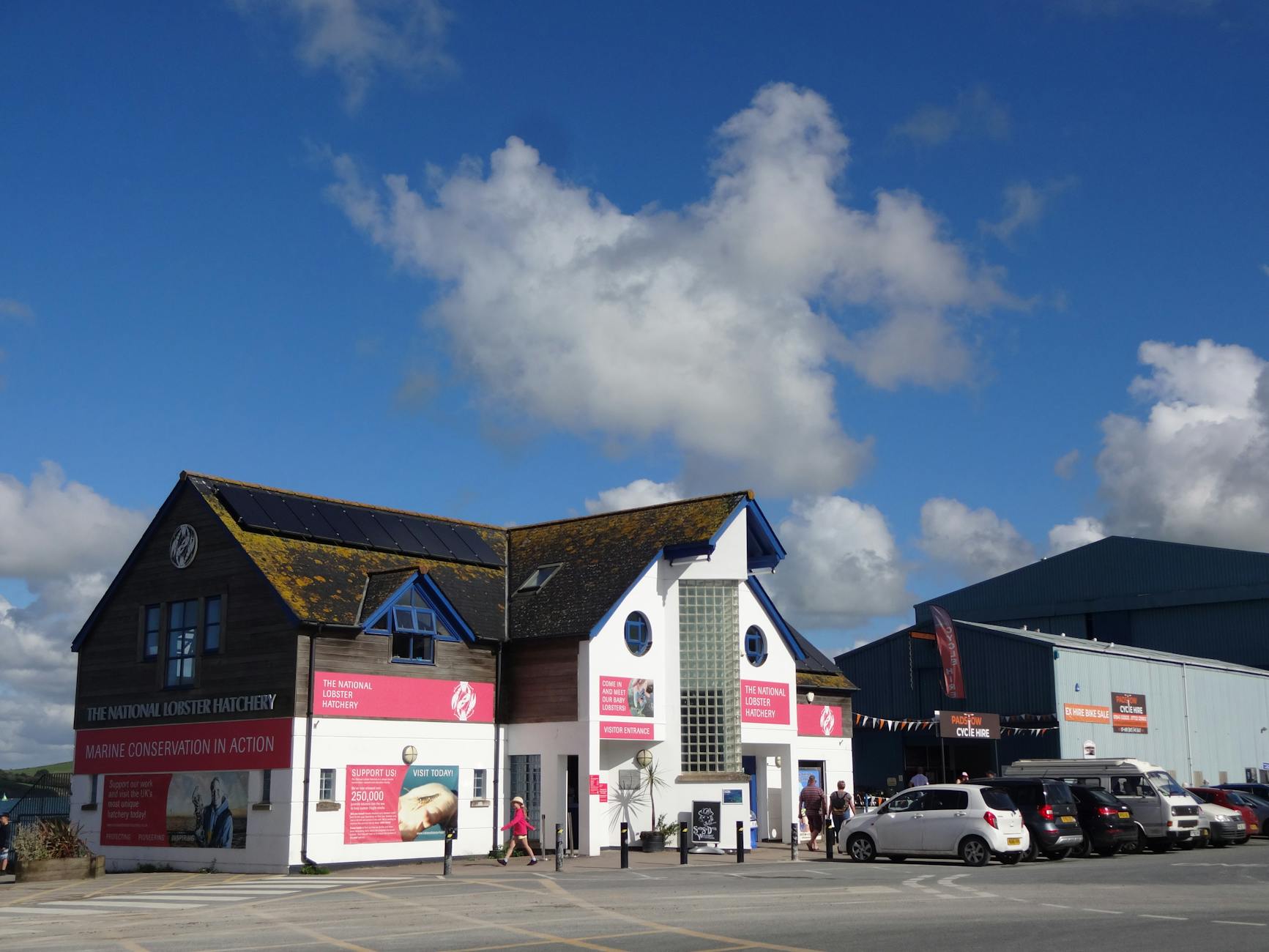 Why the Greyhound Crawley Pub Crawl is a Must-Do for Locals & Visitors*