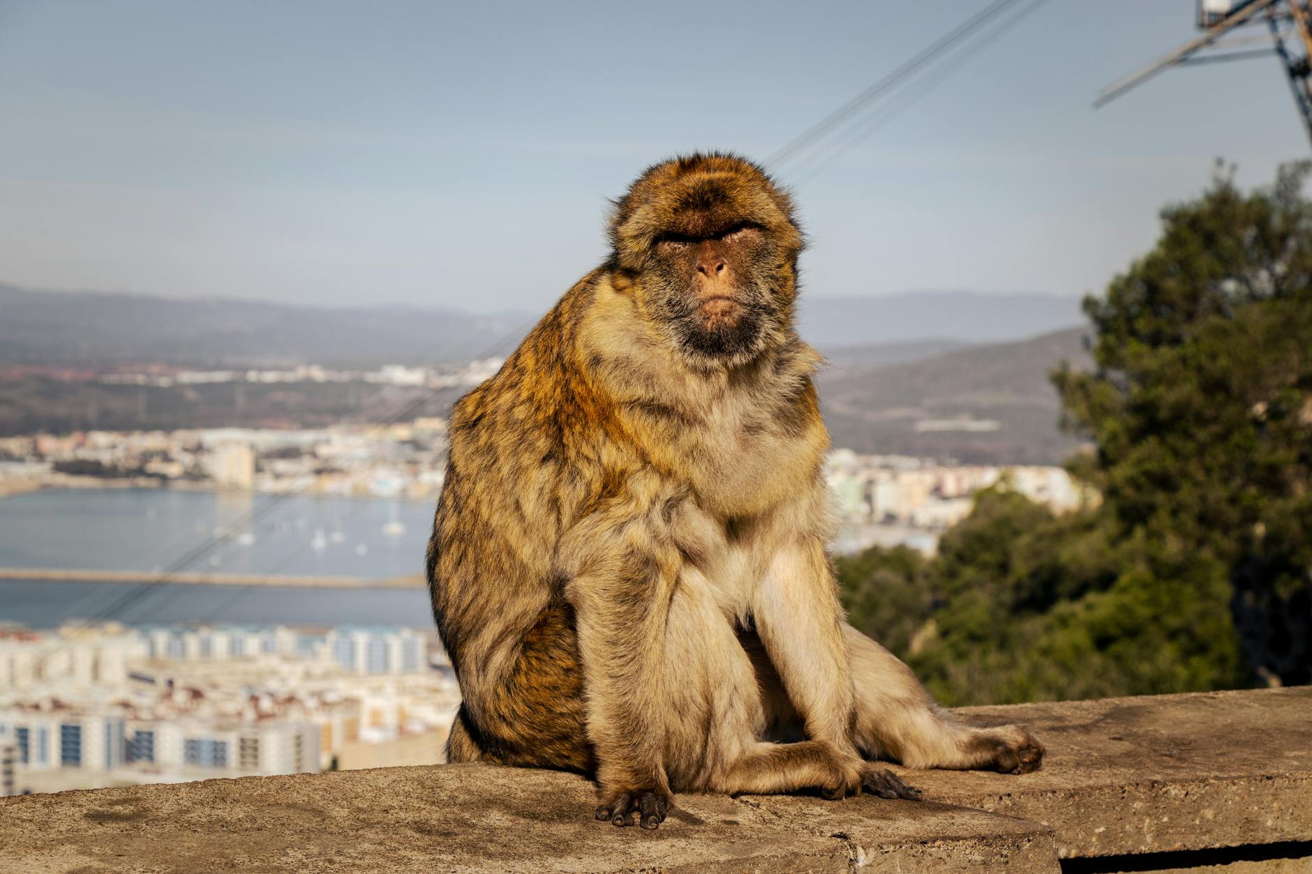 Your Ultimate Guide to Stress-Free Metrobus Journeys in Crawley"*