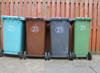Your Essential Guide to Crawley Bin Collection Dates & Tips