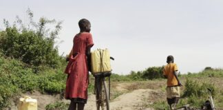 Discover Crawley Amenity Tip: Your Essential Local Resource Guide