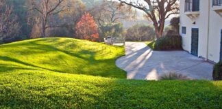 Transforming Crawley: Your Council’s Plan for a Better Future