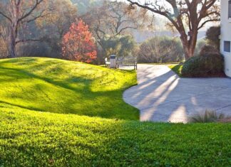 Transforming Crawley: Your Council’s Plan for a Better Future