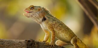 Discover Gatwick Manor Crawley: Your Perfect Home in a Prime Location