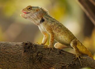 Discover Gatwick Manor Crawley: Your Perfect Home in a Prime Location