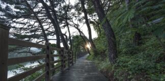 Explore Buchan Park Crawley: A Green Oasis for Relaxation & Recreation