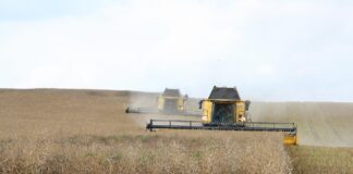 Efficient Harvesting Solutions in Crawley, West Sussex