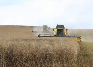 Efficient Harvesting Solutions in Crawley, West Sussex