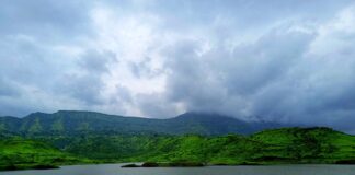 Discover the Hidden Gems of Crawley’s Pound Hill