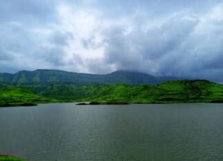 Discover the Hidden Gems of Crawley’s Pound Hill