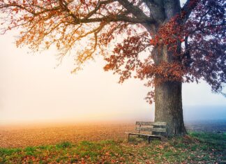 Discover the Benefits of Worth Park Crawley for Relaxation and Wellbeing