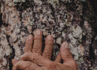 The Lamb Crawley: A Timeless Tale of Love and Redemption