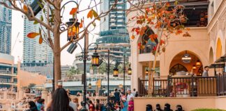 Discover Crawley Town Centre: Your Local Shopping Destination