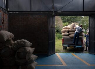 Efficient Order Fulfilment at Tesco Crawley: Fast, Reliable Service