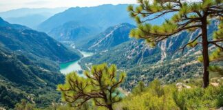 Exploring Türkiye’s Natural Wonders: A Journey Through Its Best Reserves Exploring Türkiye's Natural Wonders: A Journey Through Its Best Reserves